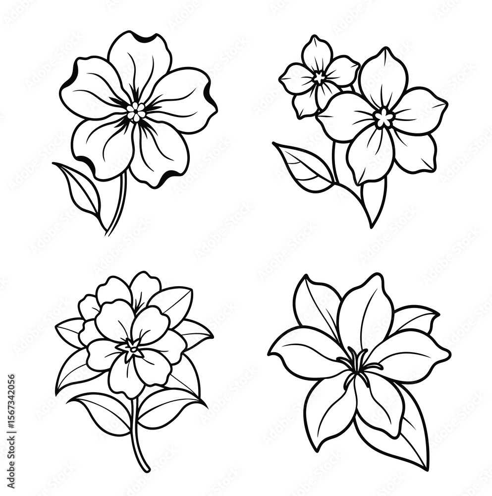 Obraz premium Phlox