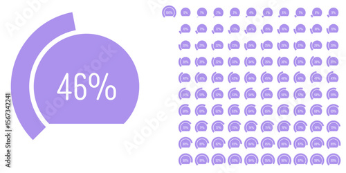 Set of circular sector arc percentage diagrams meters progress bar from 0 to 100 ready-to-use for web design, user interface UI or infographic - indicator with purple