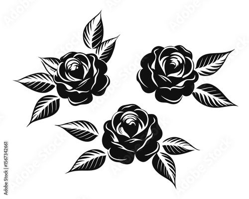 Elegant collection of stylized rose blossoms and accompanying foliage presented as a cohesive decorative graphic element for artistic applications