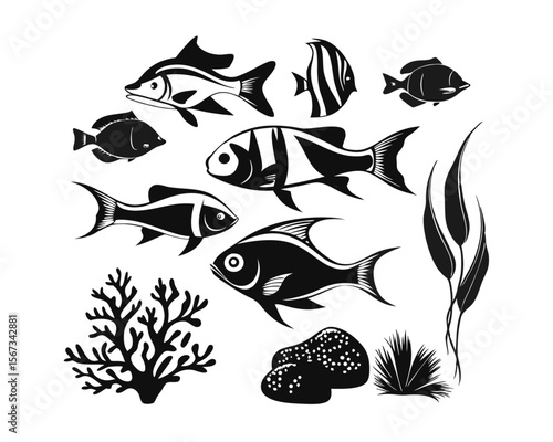 A diverse collection of aquatic creatures presented on a clean white backdrop showcasing a variety of marine life forms in a cohesive artistic arrangement