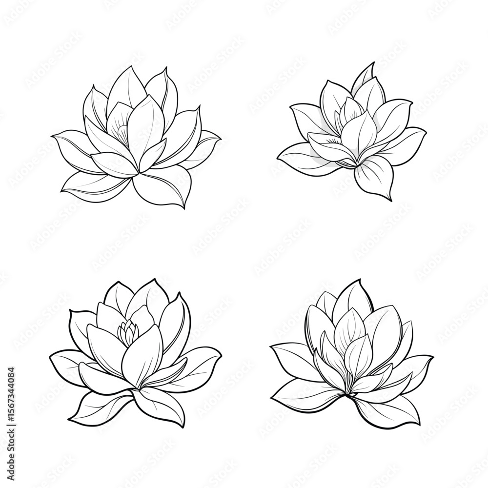 Fototapeta premium Magnolia
