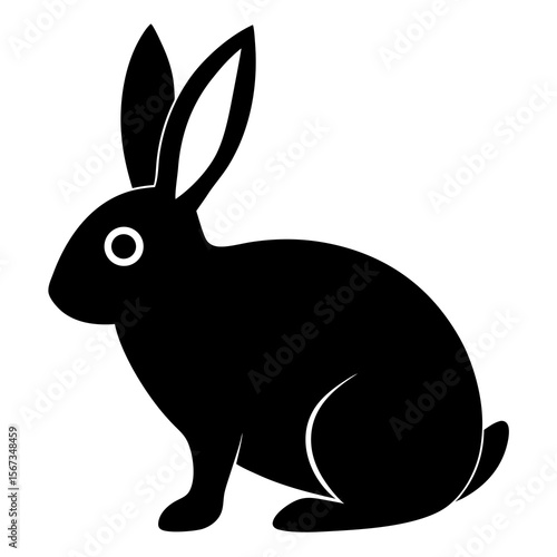 A black rabbit sits isolated on white background