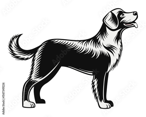 Striking black and white outline of a canine companion presented cleanly on a bright neutral backdrop perfect for diverse design applications and pet themed projects