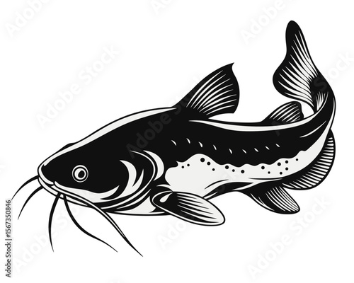 Artistic rendering of a wels catfish also known as a sheatfish presented in a fluid hand painted watercolor style with vibrant aquatic hues