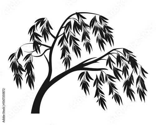 Elegant salix alba l tree silhouette showcasing detailed foliage and branches rendered in a striking black and white contrast with subtle color accents
