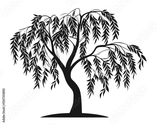 Elegant silhouette of a weeping willow tree salix alba showcasing its graceful branches and detailed foliage perfect for naturalistic and botanical design themes