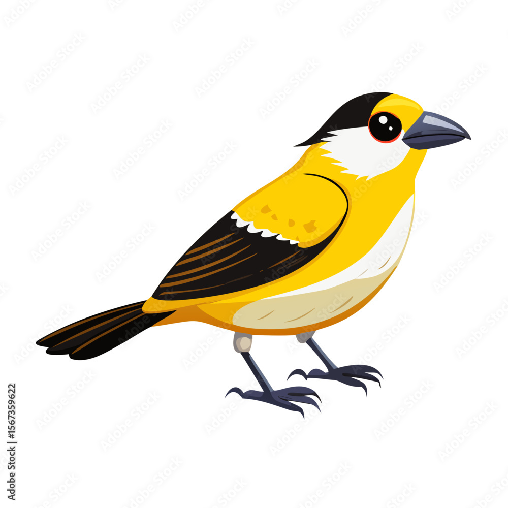 Obraz premium Cute Yellow and Black Bird Illustration | Colorful Songbird Cartoon Clipart for Nature, Wildlife, and Kids' Educational Projects