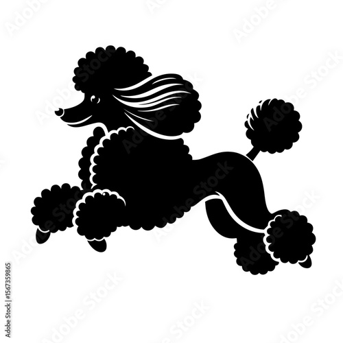 Black and white silhouette vector of a poodle on white background