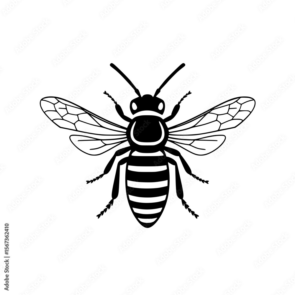 Line drawing icon of a bee with wings and body segments representing insects, nature, and pollination. Line drawing icon of a bee with wings and body segments representing insects, nature, and pollination.