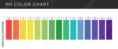 PH Scale. Acidic and alkaline measure. Scale indicator for litmus paper test. Vector illustration isolated on white background.