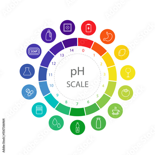 PH value Scale. Color chart with pH food level. Scale indicator for litmus paper test. Vector illustration isolated on white background.