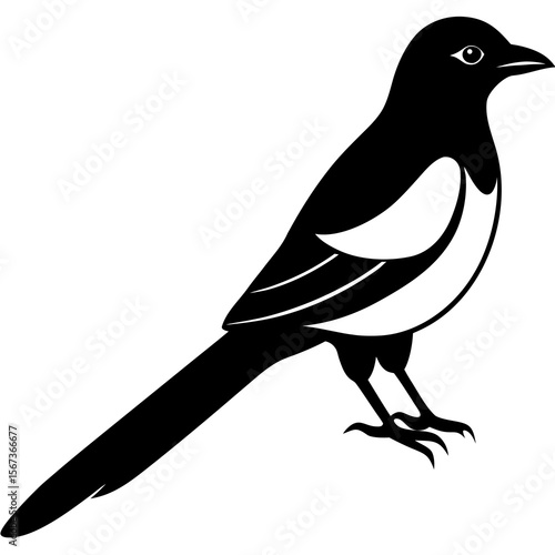 vector illustration of a duel bird
