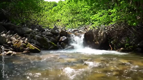 Small waterfall cascading over rocks in a lush forest. Birds perch on the rocks