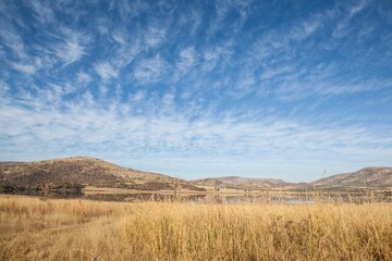 Fotobehang Heuvel Grasweide met meer in flat design  © vectorfusionart