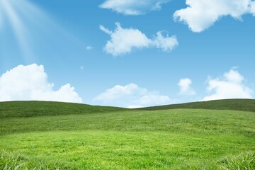 Fotobehang Heuvel Golvende grasheuvels in flat design  © vectorfusionart