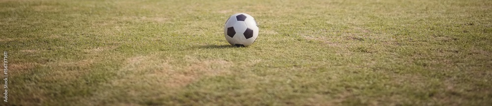 Fototapeta premium Football in a sports field