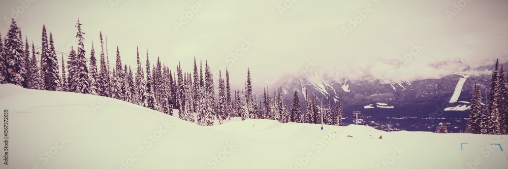 Fototapeta premium Snowcapped and forest during winter