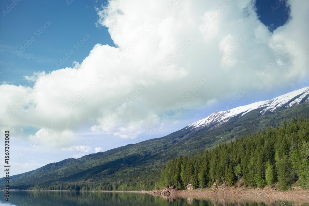 Fototapeta premium Scenic view of lake by trees and mountain against cloudy sky