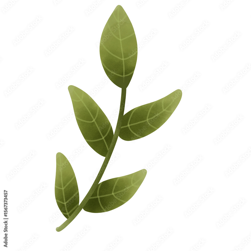 Naklejka premium school png 