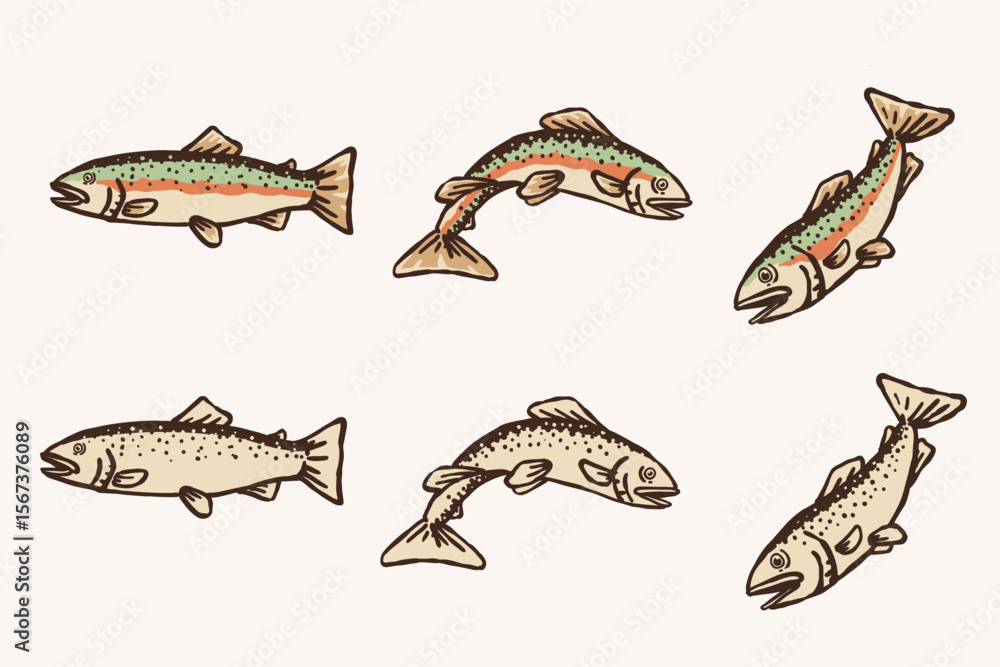 Fototapeta premium Hand Drawn Rainbow Trout Fish Collection - Colored and Monochrome Vector Illustrations 