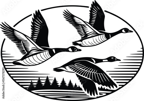 bird, vector, silhouette, flying, eagle, animal, illustration, wing, tattoo, nature, wings, black, fly, flight, feather, symbol, hawk, wildlife, birds, design, art, beak, freedom, falcon, dove