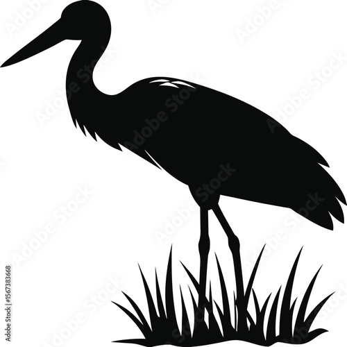 "White Stork and Large Wading Birds Vector – Heron, Pelican, Crane & Marabou Wildlife Illustration"










