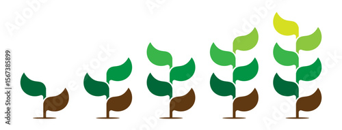 Business presentation with step or process. Infographics. Vertical timeline with 2, 3, 4, 5, and 6 parts. Stylized trees with leaves. Development and growth of the green technology