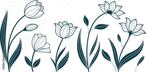 Vector art of an elegant arrangement of tulips and other flowers, delicately illustrated in a line art style, isolated on white background.