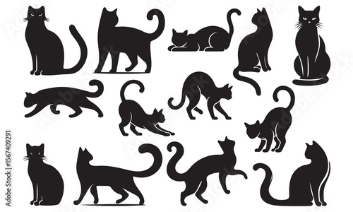  Cat silhouette collection. Set of black cat silhouette icon, black cat silhouette in various poses vector illustration 