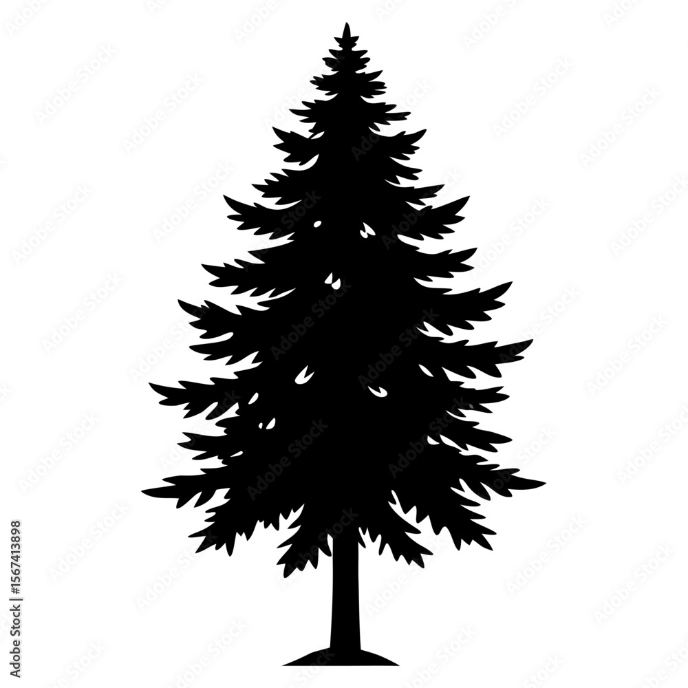 Obraz premium Picea critchfieldii tree vector