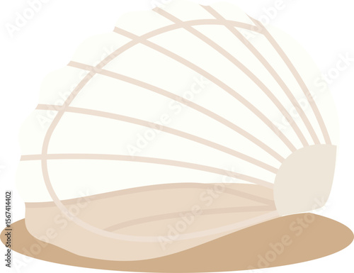 Pearl shells vector illustration