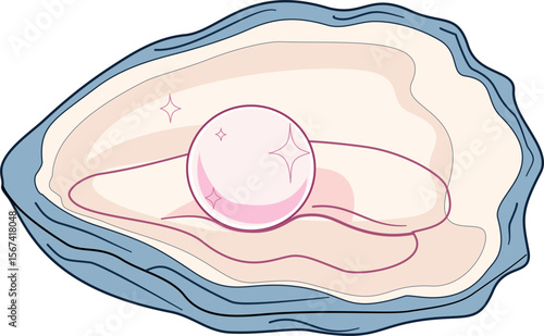 Pearl shells vector illustration