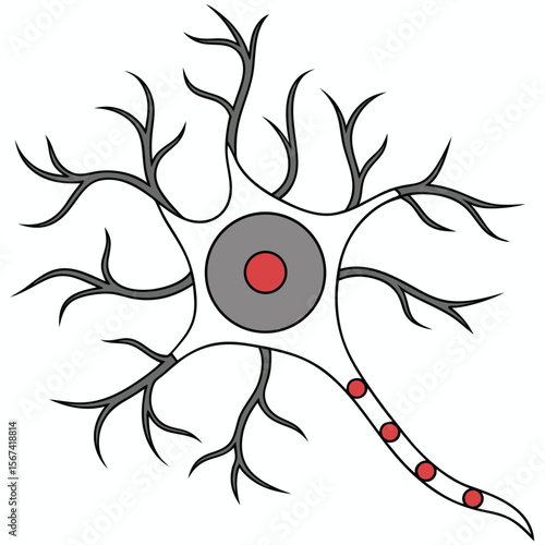 Stylized Neuron Illustration with Dendrites and Axon 1