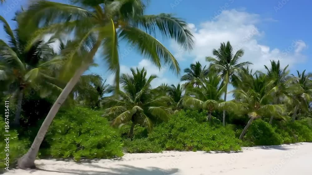 Lush Tropical Beach Paradise Palm Trees, White Sand, and Azure Sky Lush Tropical Beach Paradise Palm Trees, White Sand, and Azure Sky