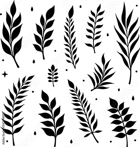 set of black leaves, feather, vector, bird, illustration, pattern, leaf, art, pen, design, nature, decoration, silhouette, set, plant, symbol, quill, vintage, icon, seamless, drawing, wing, color, bla