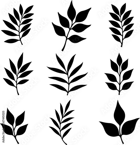 set of black leaves, feather, vector, bird, illustration, pattern, leaf, art, pen, design, nature, decoration, silhouette, set, plant, symbol, quill, vintage, icon, seamless, drawing, wing, color, bla