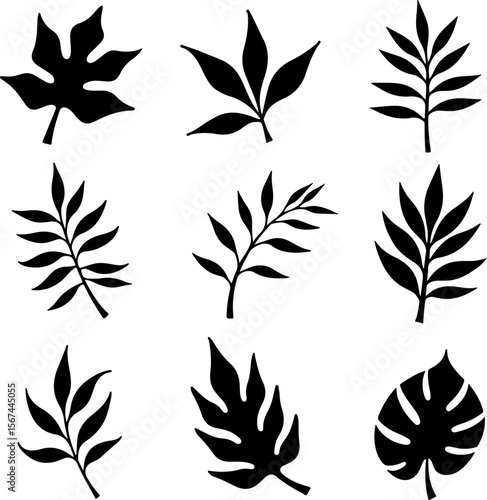 set of black leaves, feather, vector, bird, illustration, pattern, leaf, art, pen, design, nature, decoration, silhouette, set, plant, symbol, quill, vintage, icon, seamless, drawing, wing, color, bla