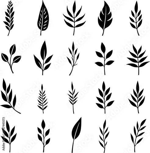 set of black leaves, feather, vector, bird, illustration, pattern, leaf, art, pen, design, nature, decoration, silhouette, set, plant, symbol, quill, vintage, icon, seamless, drawing, wing, color, bla
