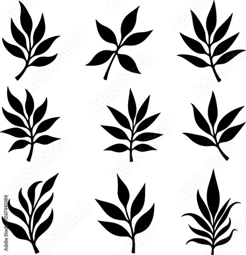 set of black leaves, feather, vector, bird, illustration, pattern, leaf, art, pen, design, nature, decoration, silhouette, set, plant, symbol, quill, vintage, icon, seamless, drawing, wing, color, bla