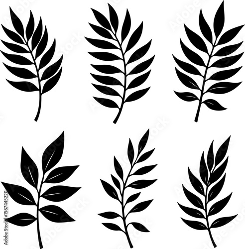 set of black leaves, feather, vector, bird, illustration, pattern, leaf, art, pen, design, nature, decoration, silhouette, set, plant, symbol, quill, vintage, icon, seamless, drawing, wing, color, bla
