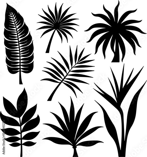 set of black leaves, feather, vector, bird, illustration, pattern, leaf, art, pen, design, nature, decoration, silhouette, set, plant, symbol, quill, vintage, icon, seamless, drawing, wing, color, bla