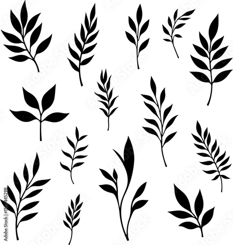 set of black leaves, feather, vector, bird, illustration, pattern, leaf, art, pen, design, nature, decoration, silhouette, set, plant, symbol, quill, vintage, icon, seamless, drawing, wing, color, bla