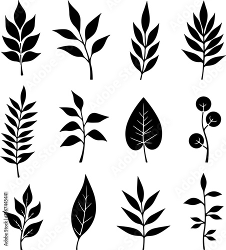 set of black leaves, feather, vector, bird, illustration, pattern, leaf, art, pen, design, nature, decoration, silhouette, set, plant, symbol, quill, vintage, icon, seamless, drawing, wing, color, bla