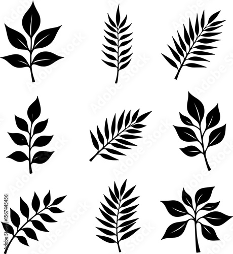 set of black leaves, feather, vector, bird, illustration, pattern, leaf, art, pen, design, nature, decoration, silhouette, set, plant, symbol, quill, vintage, icon, seamless, drawing, wing, color, bla