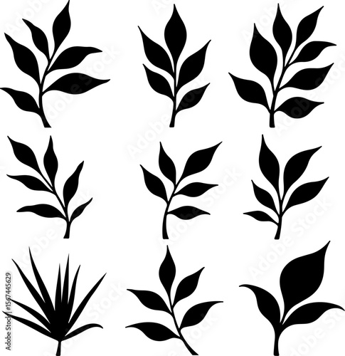 set of black leaves, feather, vector, bird, illustration, pattern, leaf, art, pen, design, nature, decoration, silhouette, set, plant, symbol, quill, vintage, icon, seamless, drawing, wing, color, bla