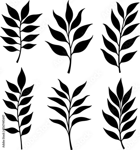 set of black leaves, feather, vector, bird, illustration, pattern, leaf, art, pen, design, nature, decoration, silhouette, set, plant, symbol, quill, vintage, icon, seamless, drawing, wing, color, bla