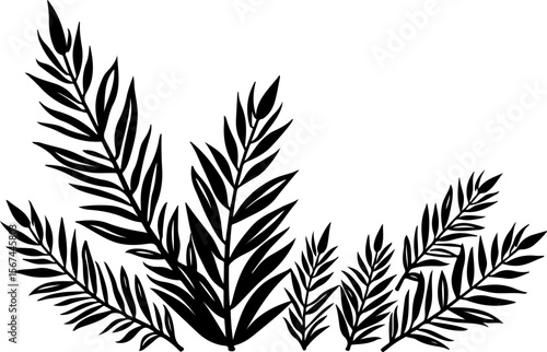 set of black leaves, feather, vector, bird, illustration, pattern, leaf, art, pen, design, nature, decoration, silhouette, set, plant, symbol, quill, vintage, icon, seamless, drawing, wing, color, bla