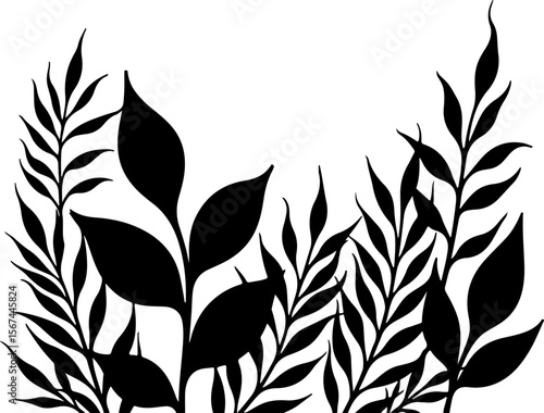 set of black leaves, feather, vector, bird, illustration, pattern, leaf, art, pen, design, nature, decoration, silhouette, set, plant, symbol, quill, vintage, icon, seamless, drawing, wing, color, bla