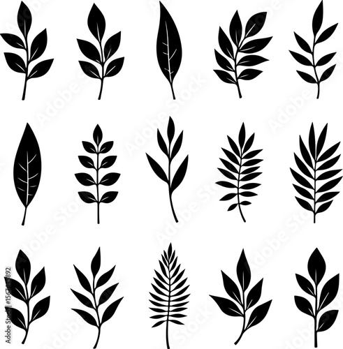 set of black leaves, feather, vector, bird, illustration, pattern, leaf, art, pen, design, nature, decoration, silhouette, set, plant, symbol, quill, vintage, icon, seamless, drawing, wing, color, bla