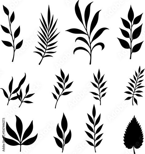 set of black leaves, feather, vector, bird, illustration, pattern, leaf, art, pen, design, nature, decoration, silhouette, set, plant, symbol, quill, vintage, icon, seamless, drawing, wing, color, bla